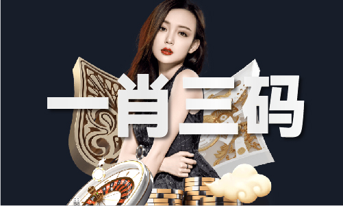 香港宝典全年资料网址V