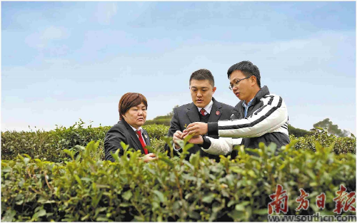 梅州:以高质量法治护航“百千万工程”
